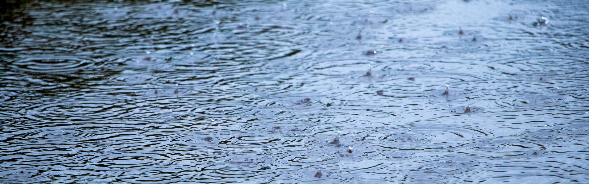 Pfütze mit Regentropfen und Kreisen auf dem Wasser, Hintergrund Pfütze mit Niederschlag