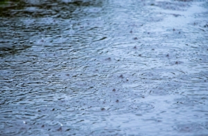 Pfütze mit Regentropfen und Kreisen auf dem Wasser, Hintergrund Pfütze mit Niederschlag